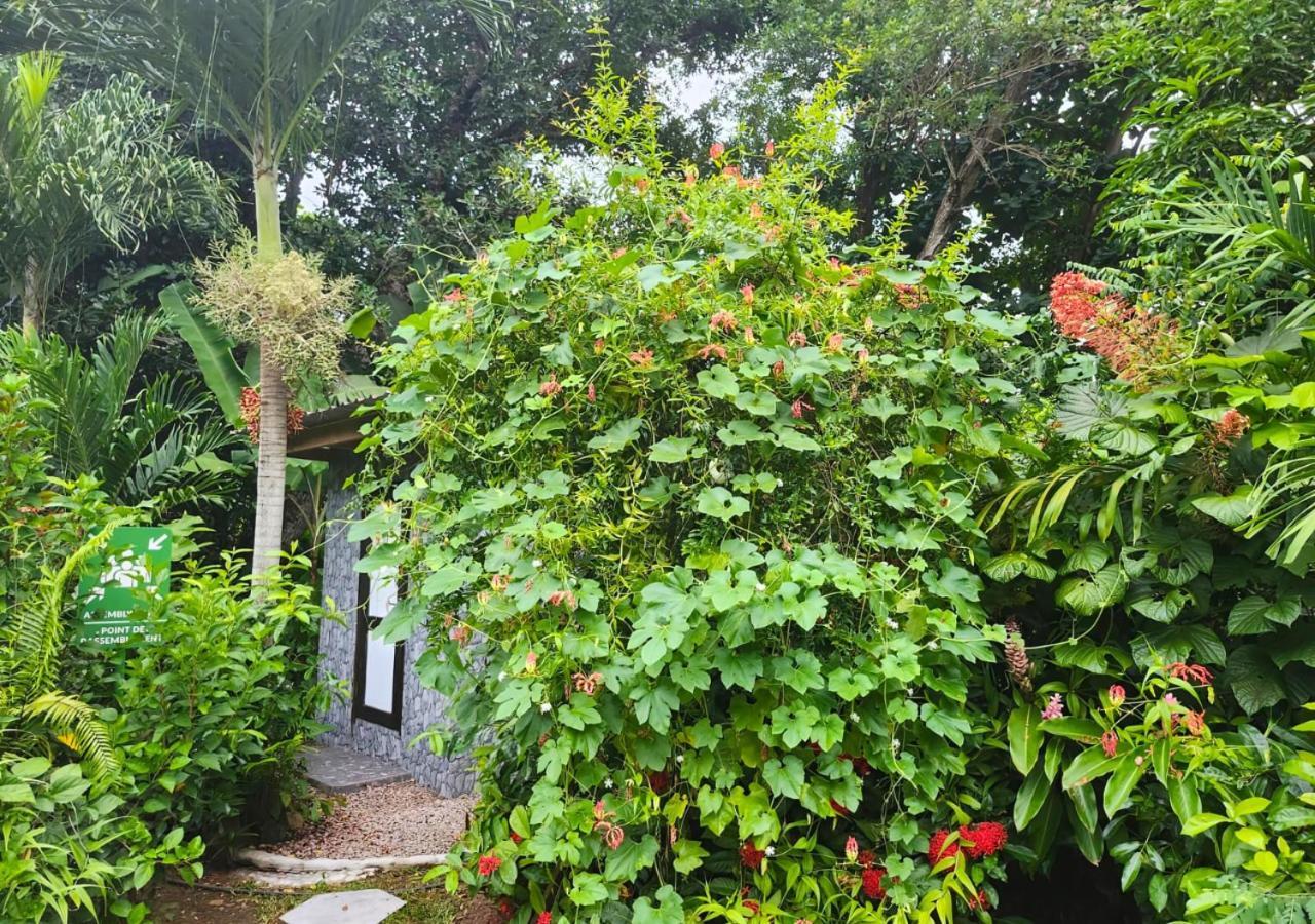 Buisson Guesthouse La Digue Luaran gambar