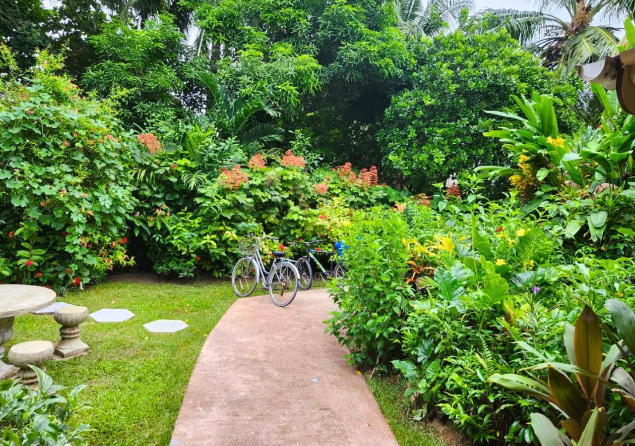 Buisson Guesthouse La Digue Luaran gambar